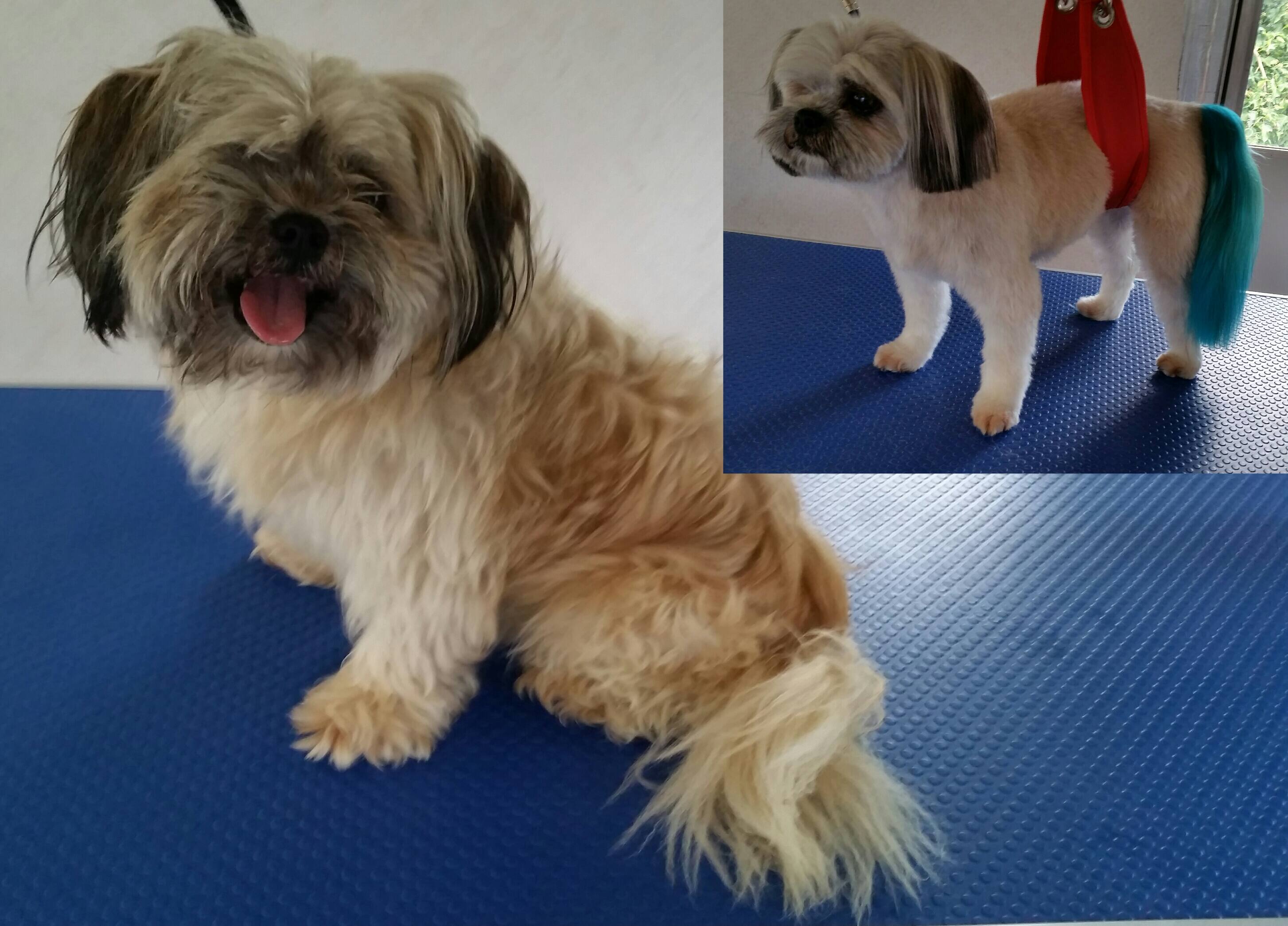 Ticklepink Dog Grooming - Logo