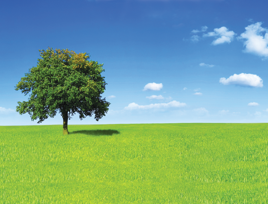Tidy Terrytory Mowing and Garden Care - Cover photo