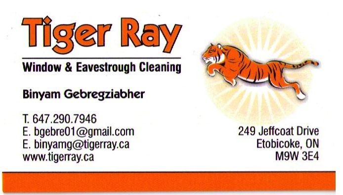 Tiger Ray - Logo