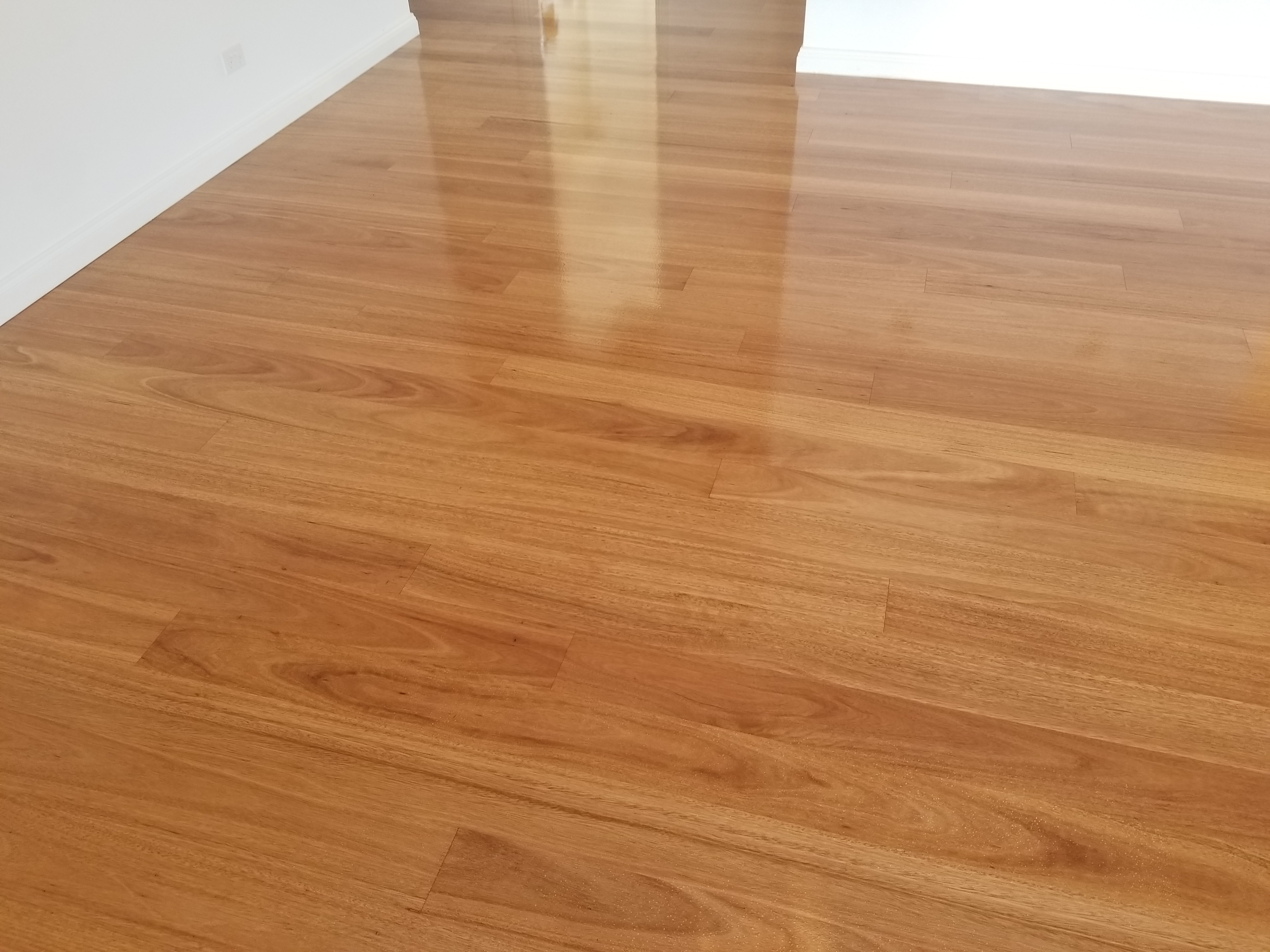 Timeless Timber Floors - Logo