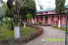 Tingkhong College - Logo