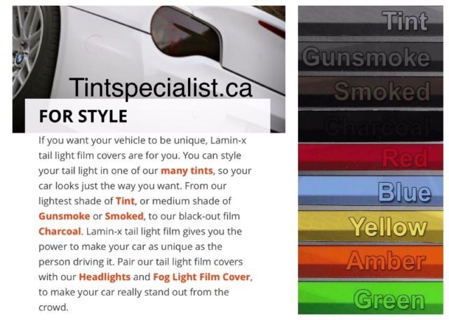 Tint Specialist - Logo
