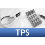 Tirmizey Professional Services Inc - Logo