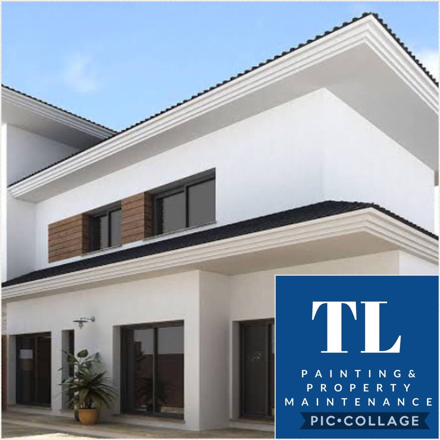 TL Painting - Logo