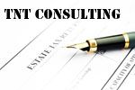 TNT Consulting - Logo