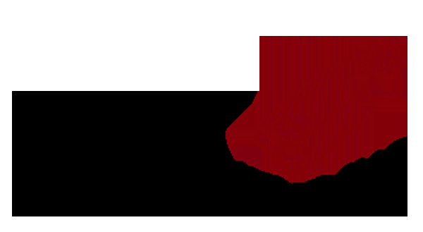 TNT Dynamite Diesel Inc - Logo