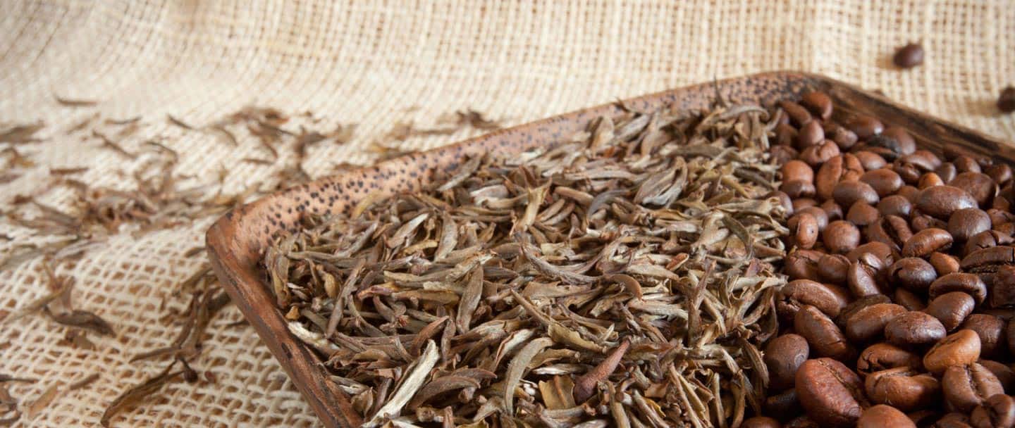 Toby's Estate Coffee & Tea - Cover photo
