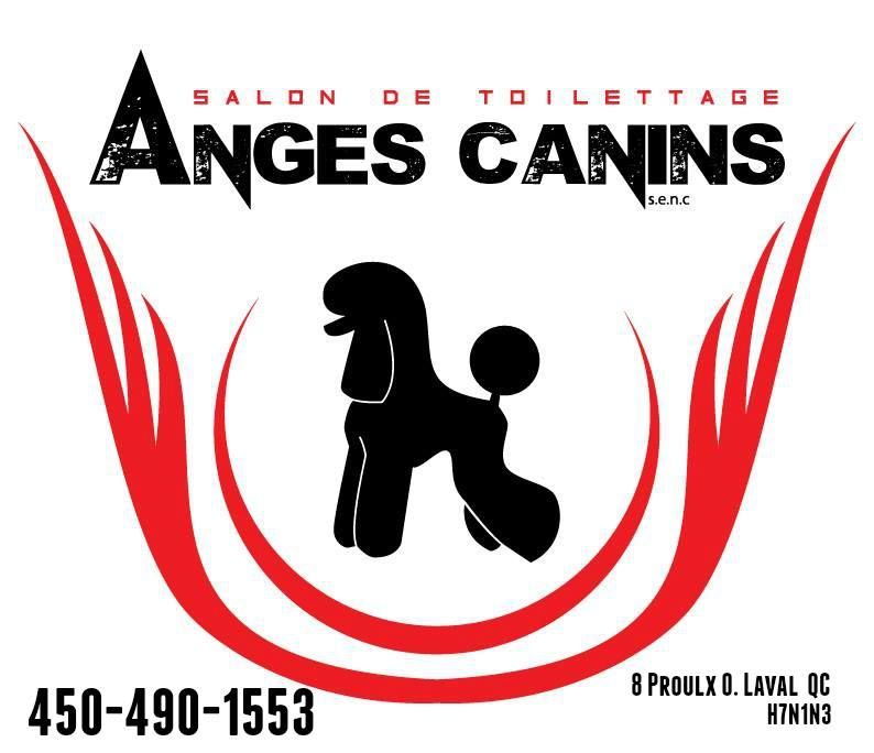 Toilettage Anges Canins - Logo