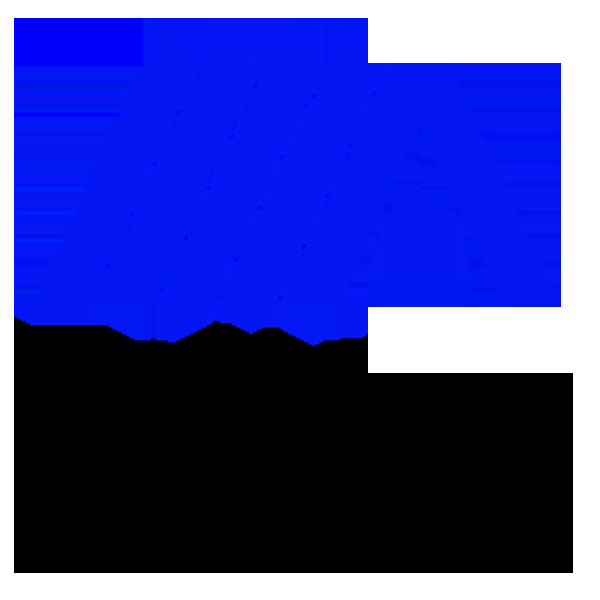 Toiture Perfection - Logo