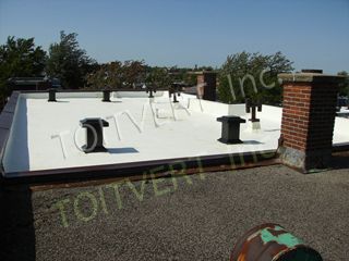Toitvert - Logo