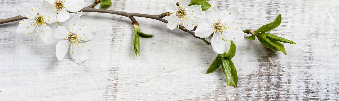 Tonic Natural Health Centre - Cover photo
