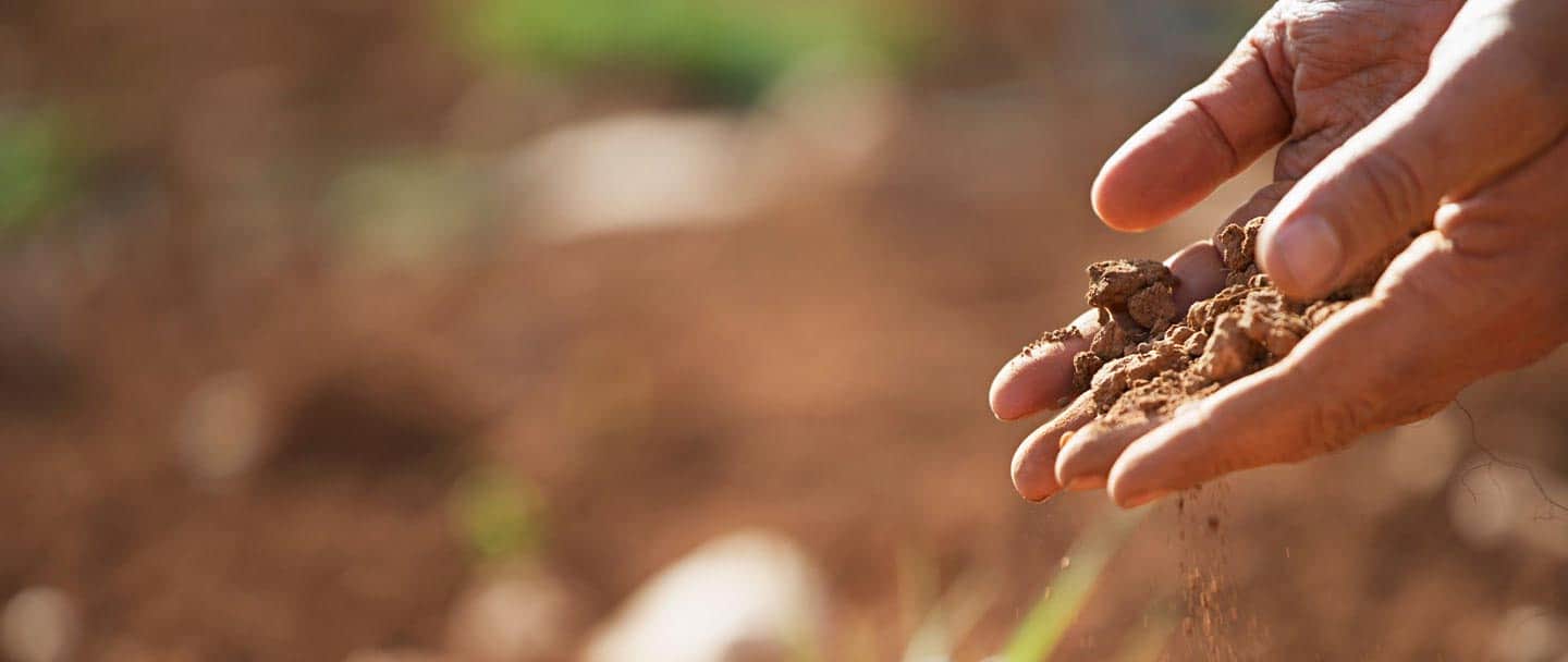 Tonkin & Taylor - Logo