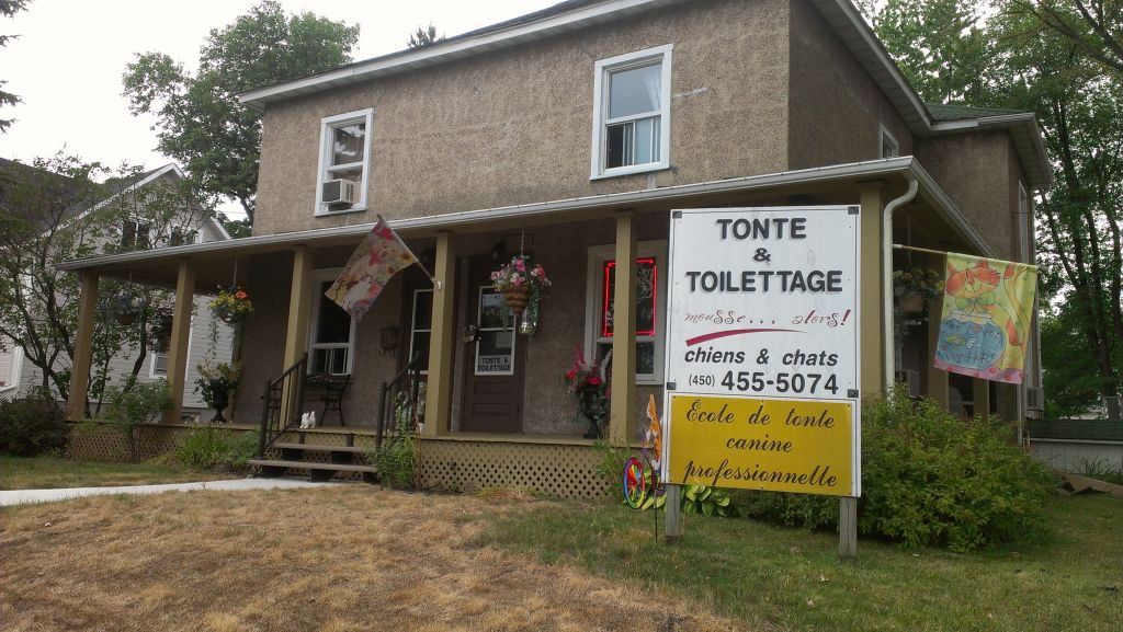 Tonte et Toilettage Mousse...Alors! - Logo