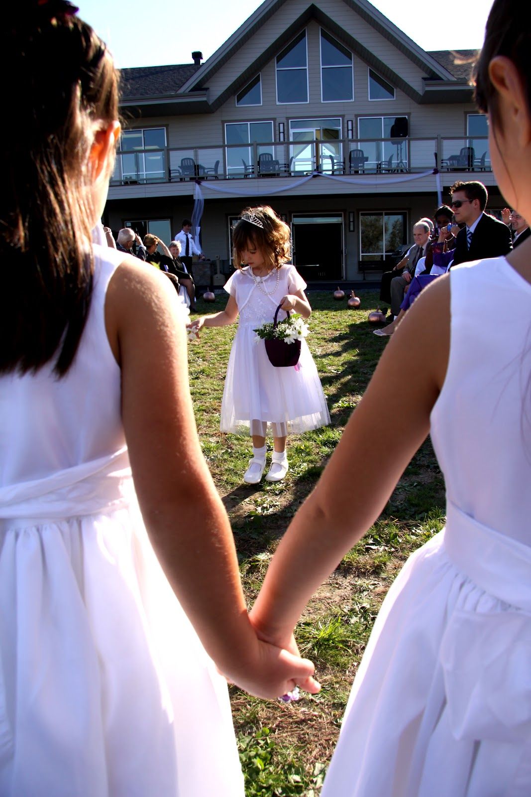 Tonya Fawn Photography - Cover photo