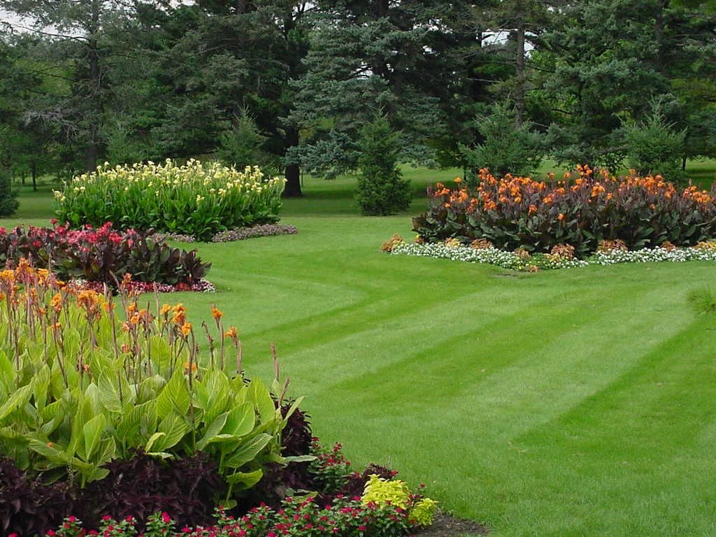 Top Notch Services - Cover photo