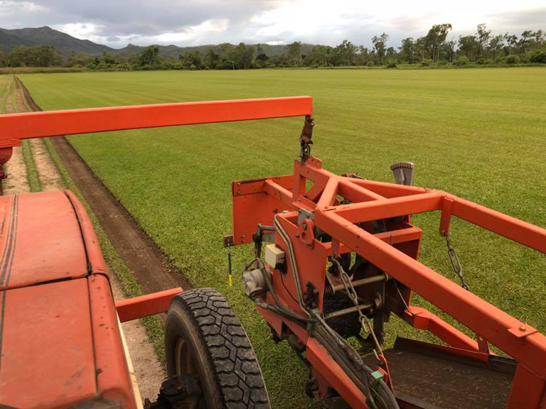 Top Notch Turf - Logo