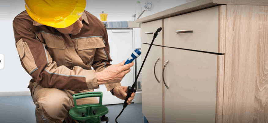 Top Pest Control Delhi - Cover photo