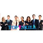 Top Skill International Staffing &a; Cleaning Inc - Logo