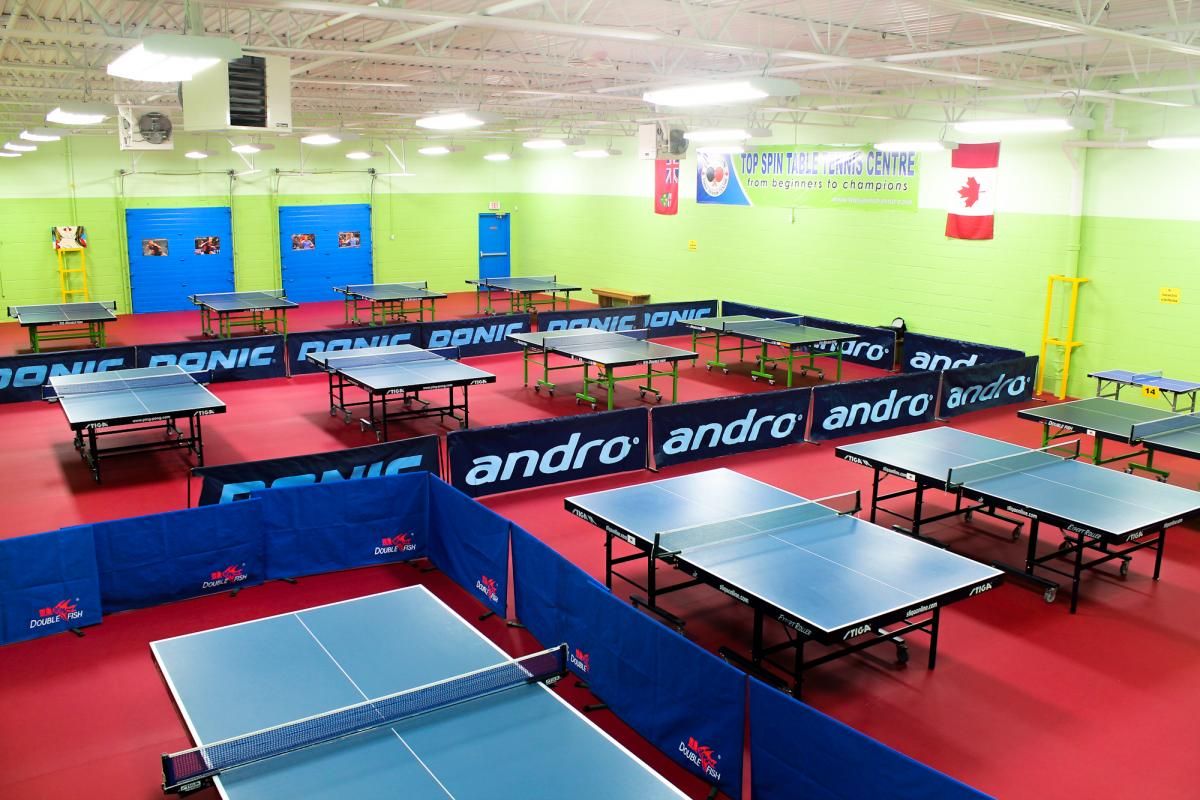 TOP SPIN TABLE TENNIS SCHOOL - Logo