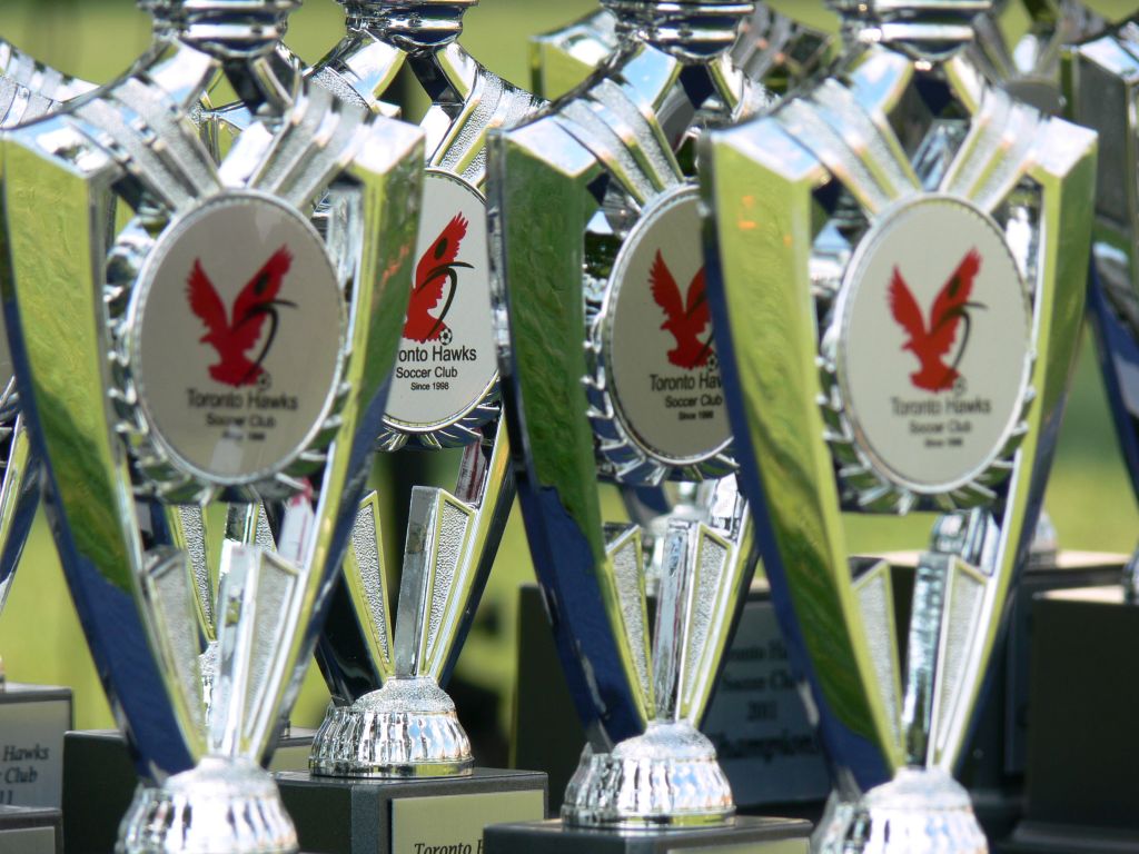 Toronto Hawks Soccer Club - Logo