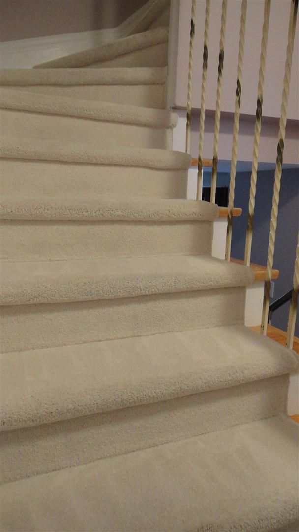 Toronto Miracle Carpet &a; Upholstery Cleaning - Logo