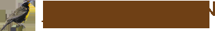Toronto Spiritual Healer - Logo