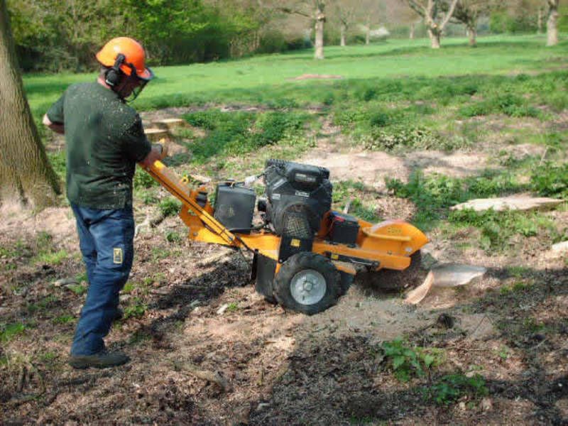 Toronto Stump Removal - Logo