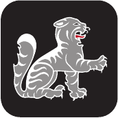Touch Cat Digital - Logo