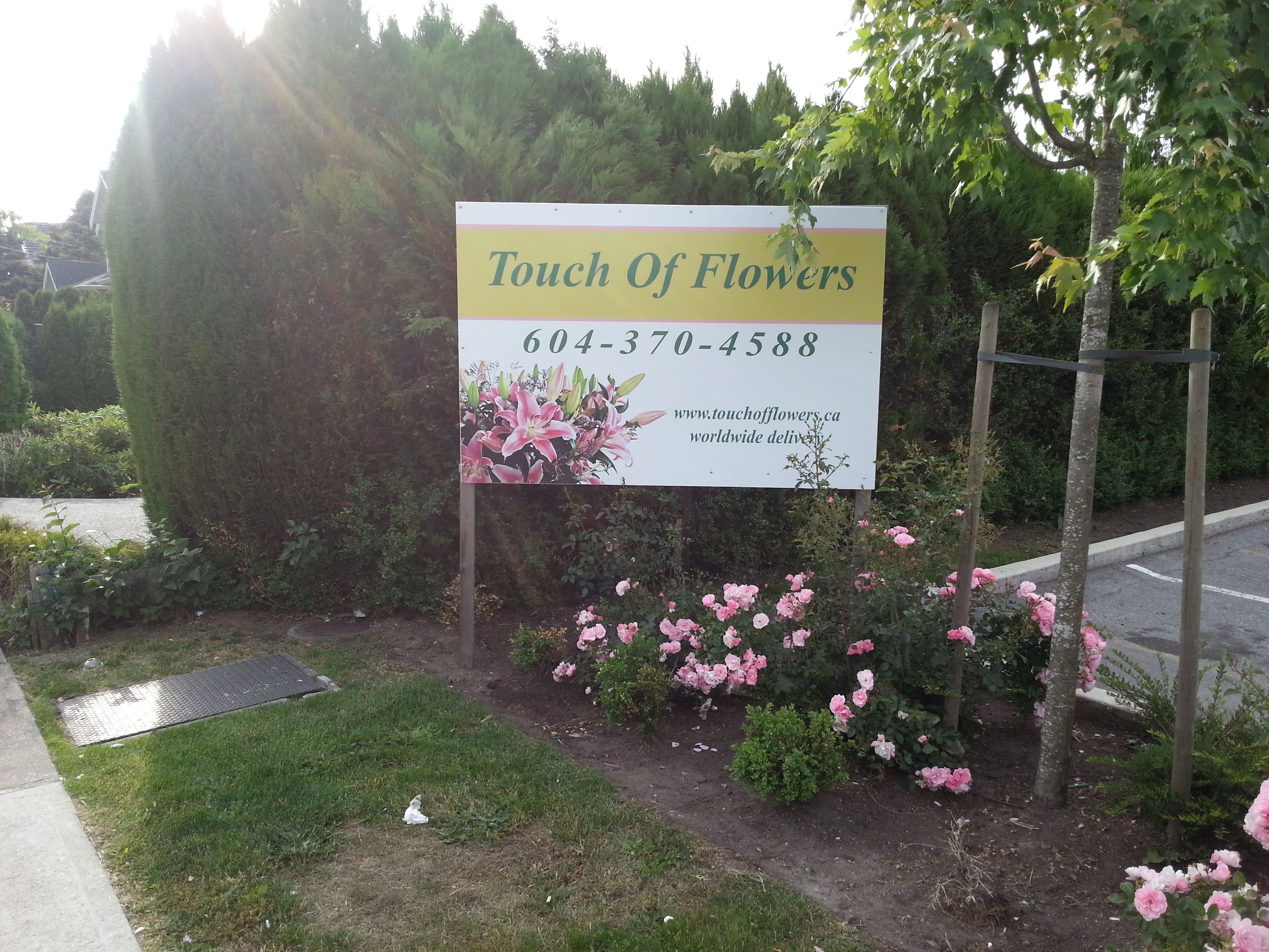 Touch of Flowers - Logo