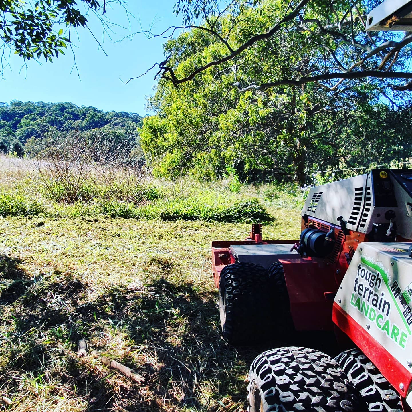 Tough Terrain Land Care - Logo