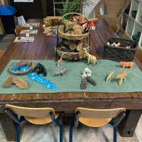Toukley Preschool Kindergarten Inc - Cover photo