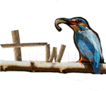 Tour Wild - Logo
