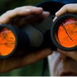 Townsville Private Investigator - Logo