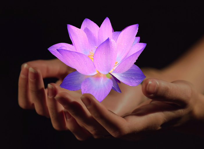 Tracy Avery - Holistic Practitioner - Logo