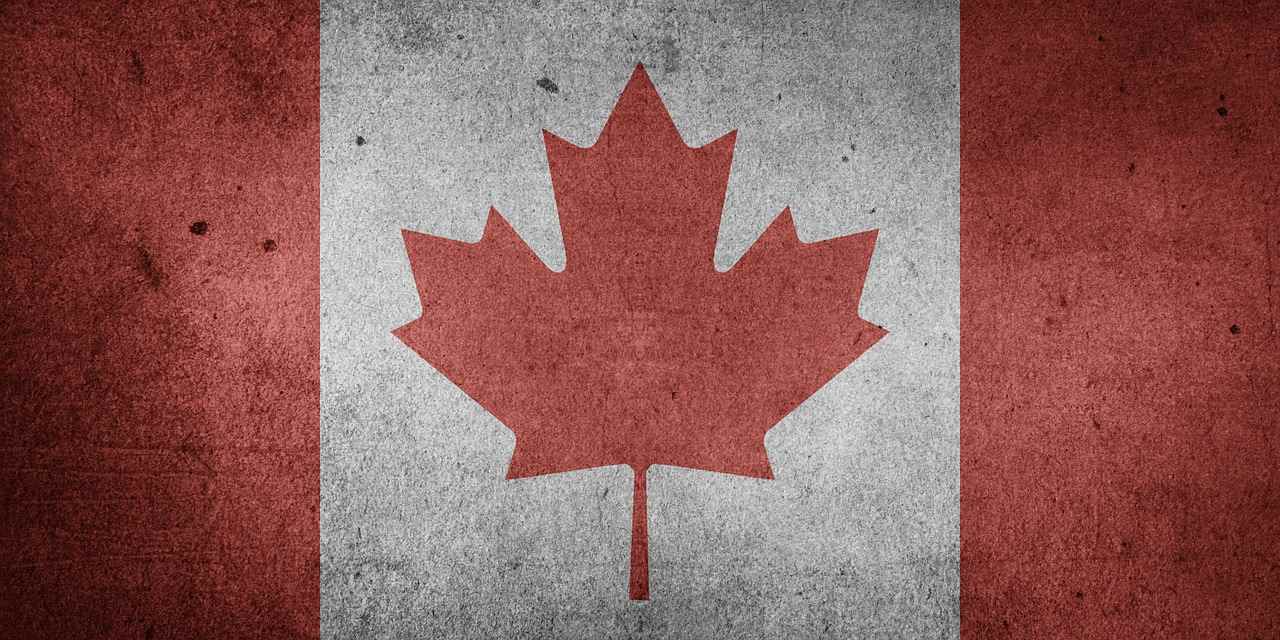 Transspacimmigrationlawyer - Cover photo