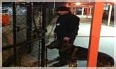 Transworld Security Services Ltd. - Cover photo