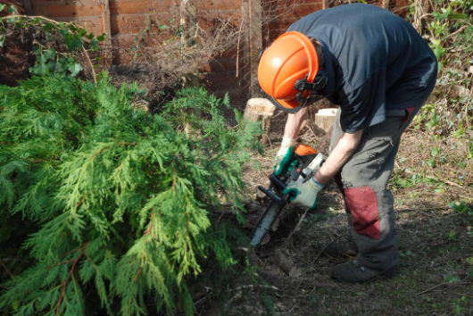 Tree Removal Canberra - Logo