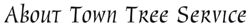 Tree Tamers - Logo