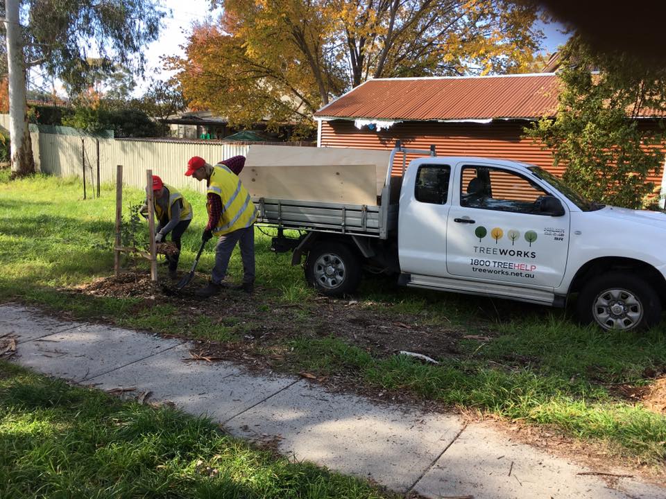 TreeWorks Canberra - Logo