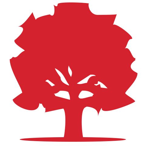 Trenton Physiotherapy - pt Health - Logo