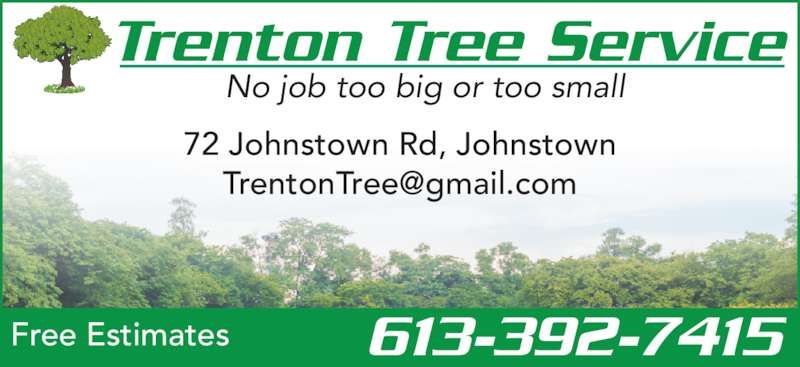 Trenton Tree Service - Logo