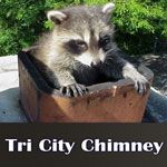 Tri City Chimney - Logo