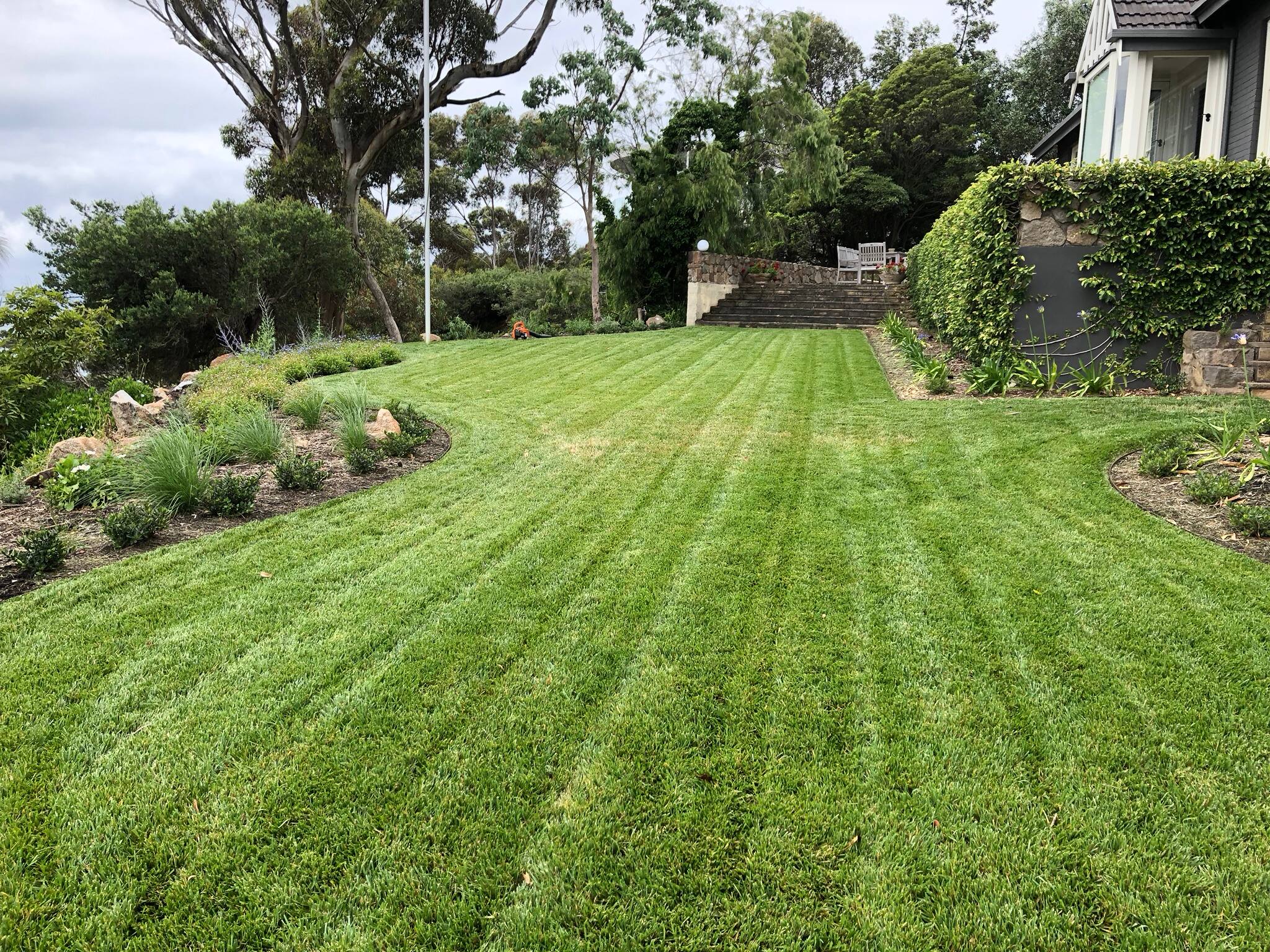 Trim & Tidy Home & Garden Maintenance - Cover photo
