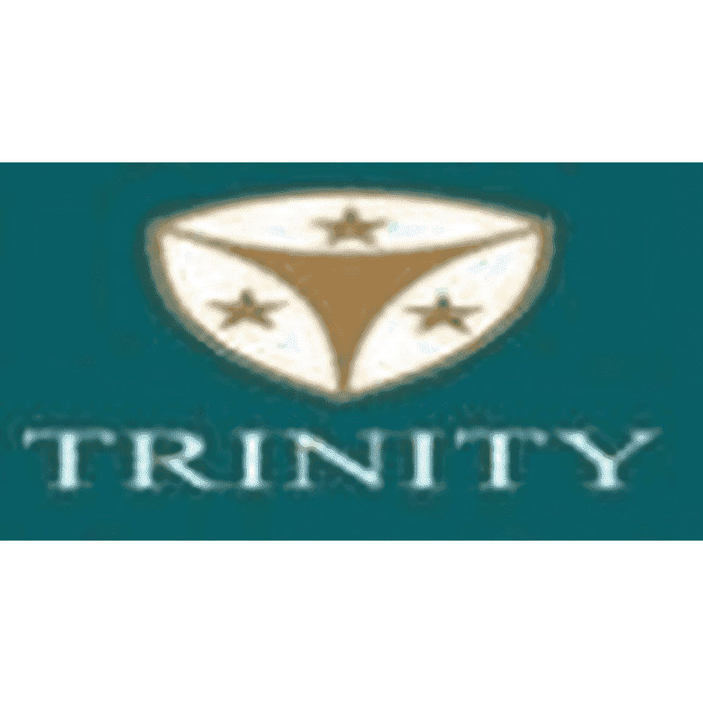 Trinity Institute of Technology & Research (TITR) - Logo