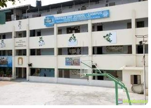 Tripada International School - Logo
