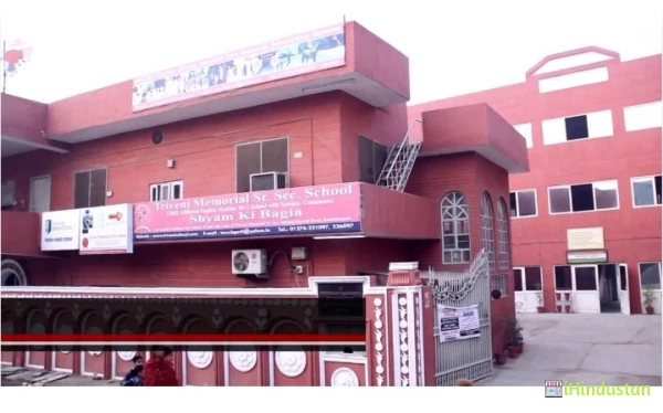 Trivani Public Senior Secondary School - Logo