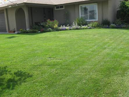 Tropical Lawn & Garden Care - Logo