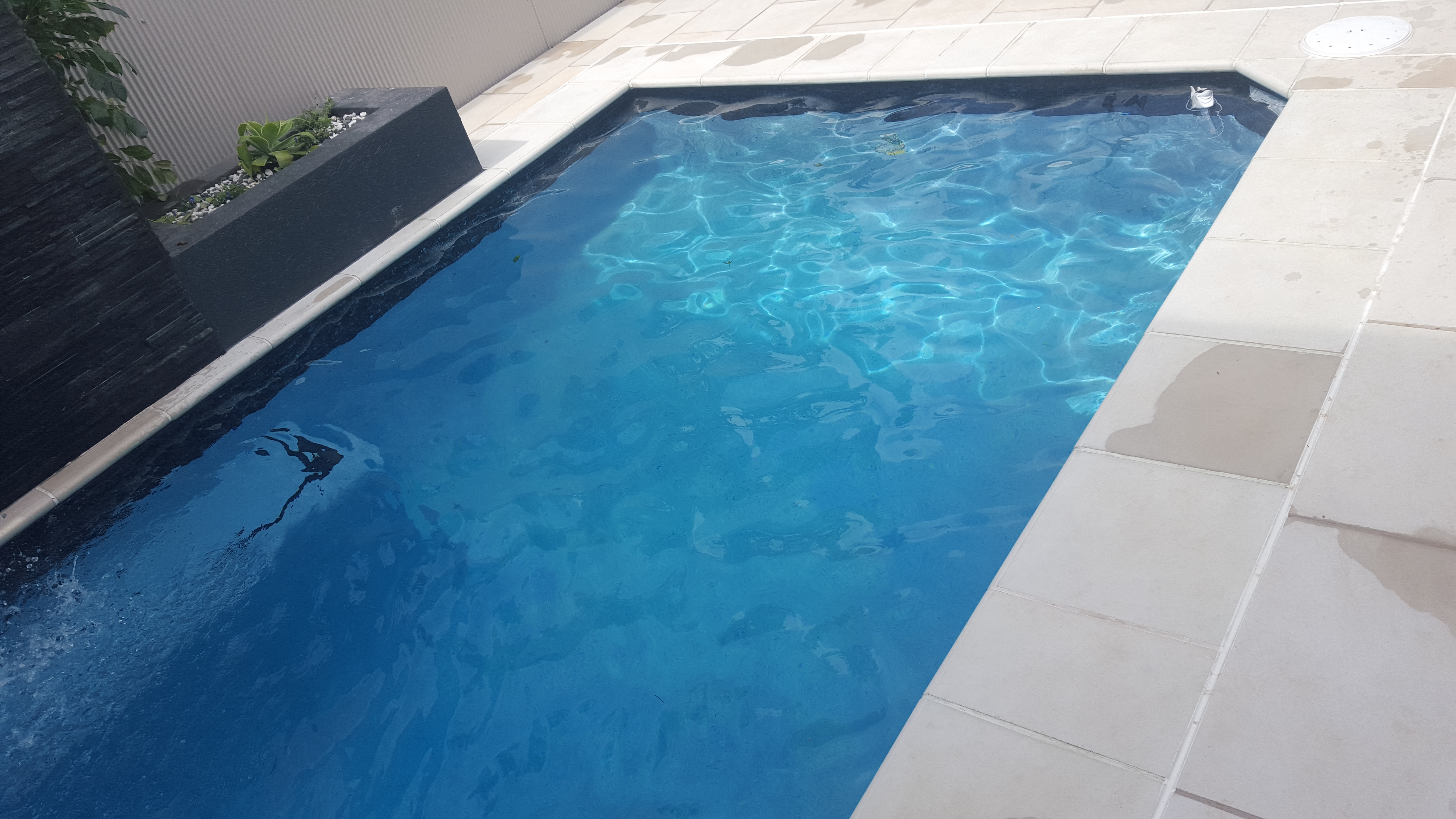 Tropical North Swimming Pools 'n' Spas - Logo