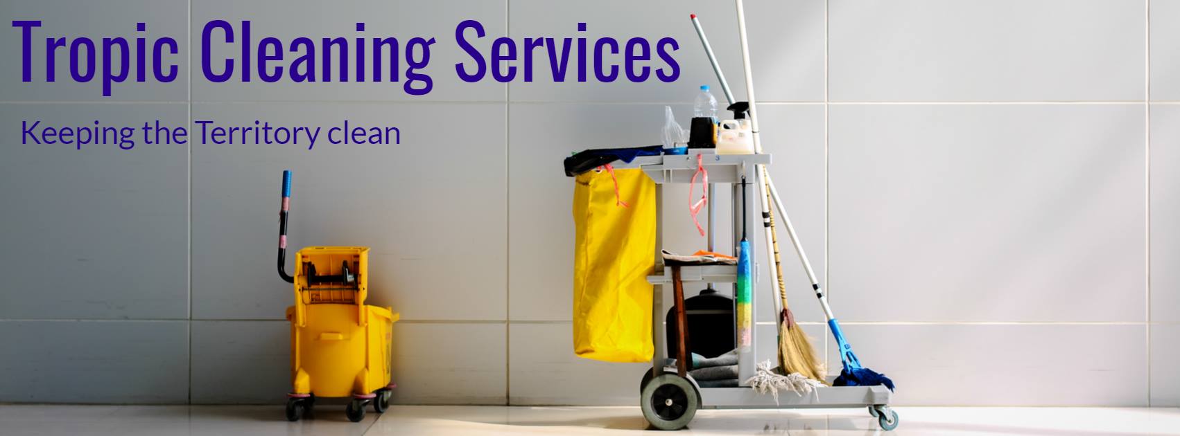 Tropic Cleaning Services - Logo