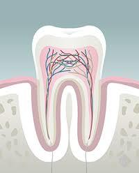 Trudent Dental Clinics - Cover photo